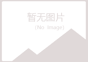 湖口县夏岚采矿有限公司